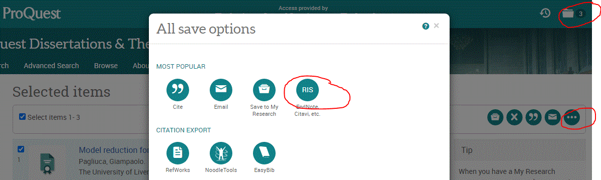 RIS