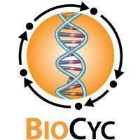 biocyc